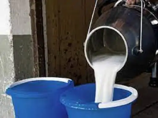 सहारनपुर में एक साल में 88.40% जहरीला हुआ दूध 5 महीने में 1645 हड्‌डी के मरीज पहुंचे OPD